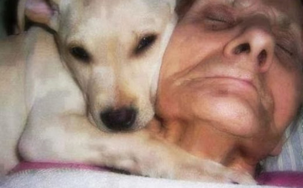 Cette femme de 70 ans reste 1 mois entier dans le coma. Mais ce qu’elle dit à son réveil a époustouflé tout son entourage!