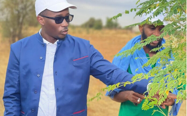 Pour reverdir Podor : L’Association “Podor vert” de Bassirou Hamedine Sy réalise avec ses partenaires, une pépinière géante de plus de 500 000 plants