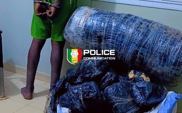 Trafic de chanvre indien: Deux individus arrêtés 