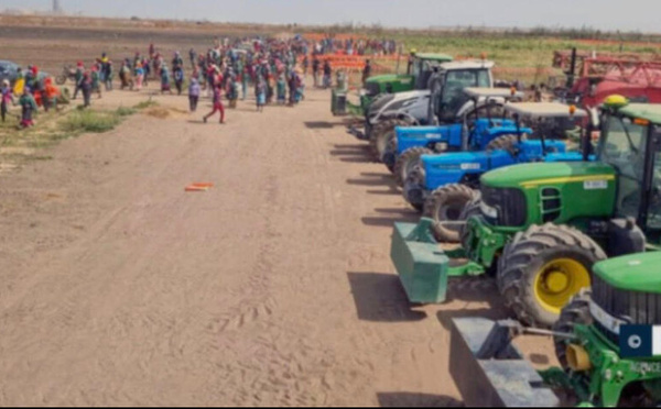 Non respect d’une décision de justice et de sa formule exécutoire par QVS: Le juge engage la responsabilité de l’État