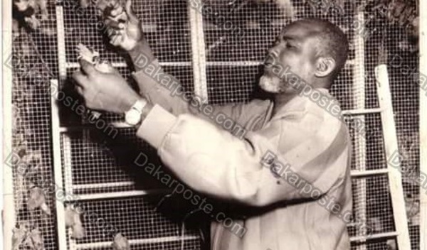 Voici le milliardaire El Hadji Diallo Picc
