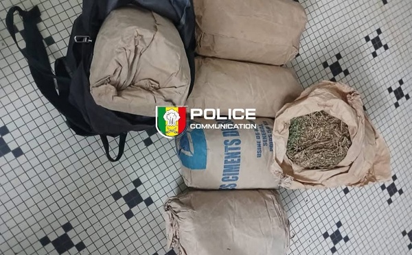 Saisie de 6 kg de chanvre indien sur l'axe Sindian-Bignona