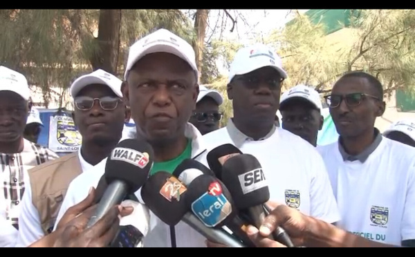 Saint-Louis : Le maire Mansour Faye lance la végétalisation de la commune, avec la plantation de 94 palmiers sur l'avenue Macky Sall