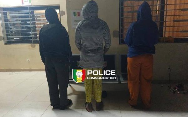 Démantèlement d’un réseau international de traite de personnes à Ziguinchor par la DNLT