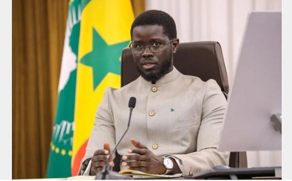 Le Président Bassirou Diomaye Faye nomme Djamil Faye, Conseiller spécial Sport