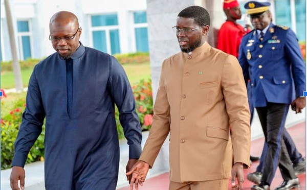 Quand la propagande militante rabaisse les institutions de la République !