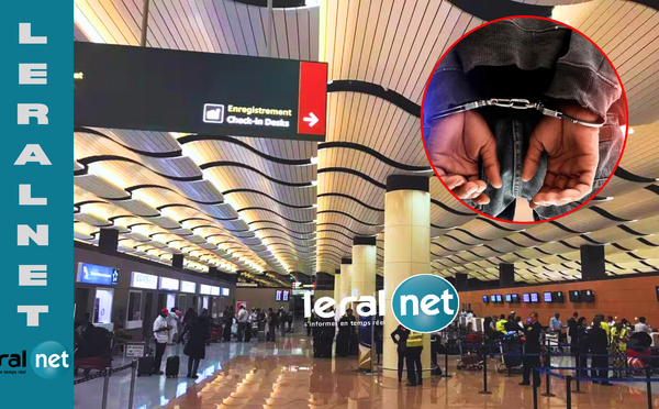 Évasion au Louvre, cavale éclair: Babacar M. Diagne arrêté à l’aéroport de Dakar