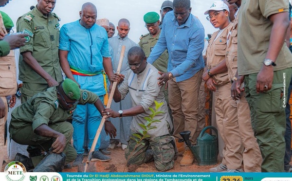 Tambacounda : le ministre de l’Environnement en tournée pour renforcer la protection des écosystèmes