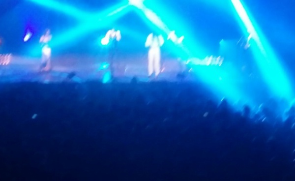 Concert de Fada Freddy : Le Zénith de Paris plein à craquer