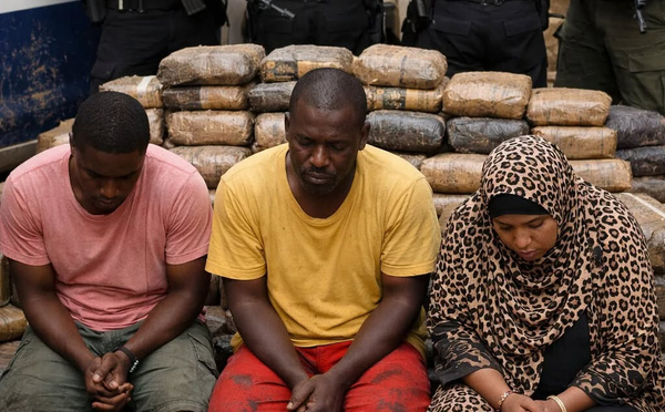 Banlieue de Dakar: Saisie record de 254 kg de chanvre indien par la Brigade des Stupéfiants