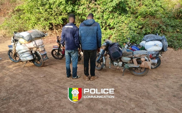 Tambacounda : saisie record de cyanure et zinc pour l’orpaillage clandestin