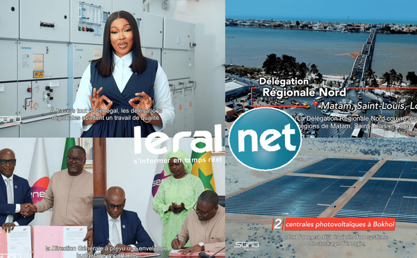 Sunu Senelec #7 : immersion au cœur des délégations régionales