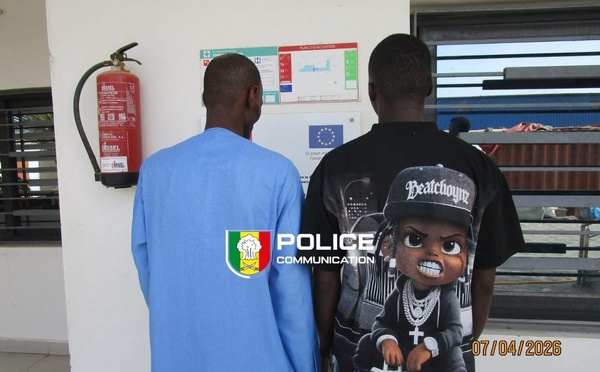 Faux papiers à Richard-Toll : un réseau démantelé par la Police