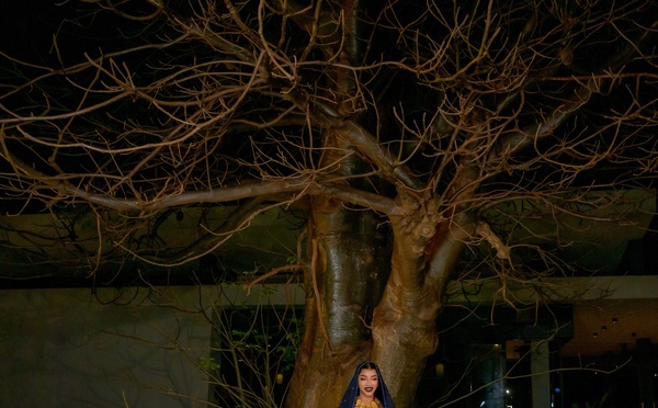 Henné Time : Kiné Ndiaye Rose éblouit dans une robe somptueuse