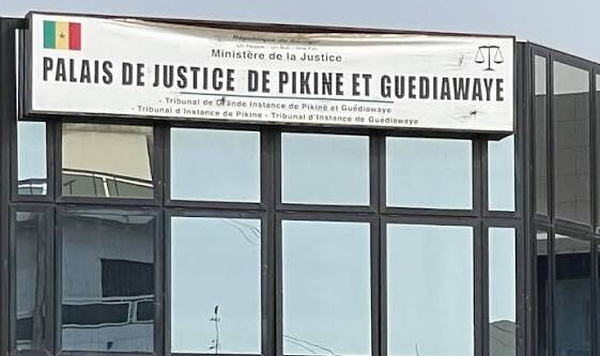 Mur effondré, sécurité menacée : des serpents envahissent le tribunal de Pikine