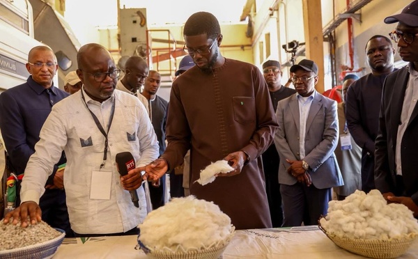 Daakaa de Madina Gounass : visite annoncée du président Bassirou Diomaye Faye