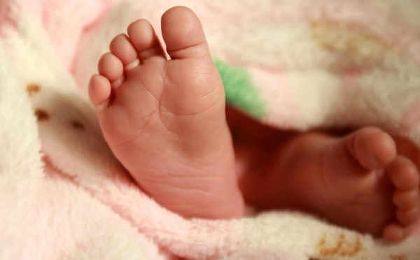 Saint-Louis : un bébé abandonné retrouvé vivant sous un arbre à Ngallèle
