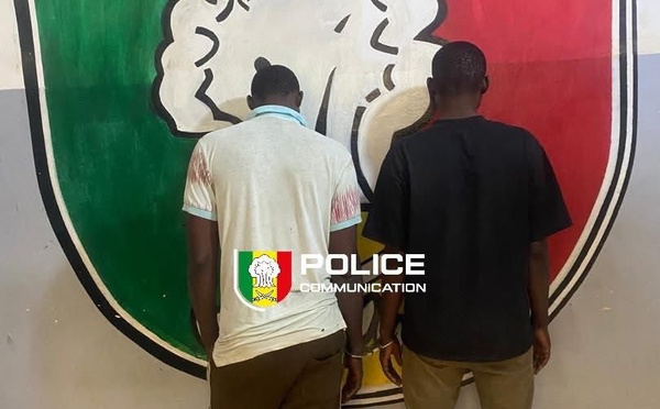 Vente illicite de produits pharmaceutiques : deux suspects envoyés au parquet à Kaolack
