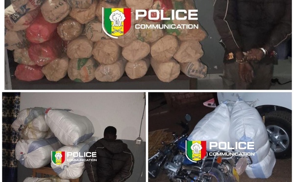Trafic de drogue à Bounkiling : un suspect arrêté avec 114 kg de chanvre indien