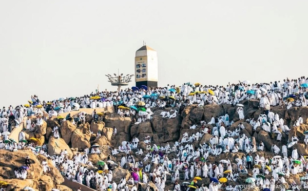 Hajj 2026 : Arafat accueille des milliers de pèlerins dans une intense ferveur spirituelle