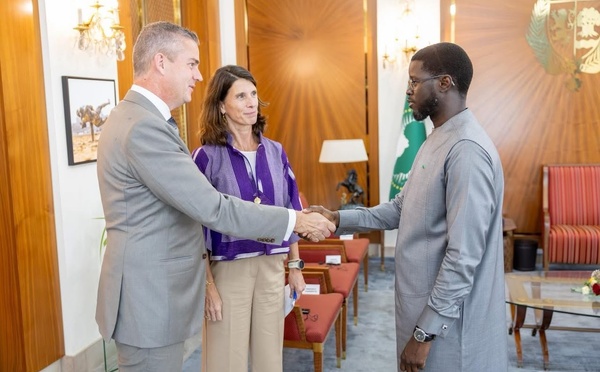 Audience au Palais : Damen Shipyards présente ses projets d’investissement au Sénégal