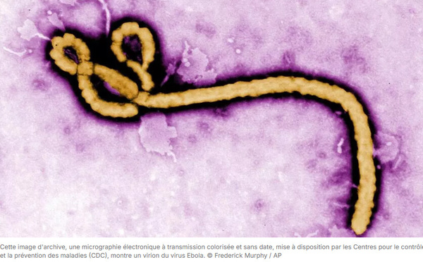 Épidémie d'Ebola: un premier cas identifié en France, chez un médecin de retour de RDC