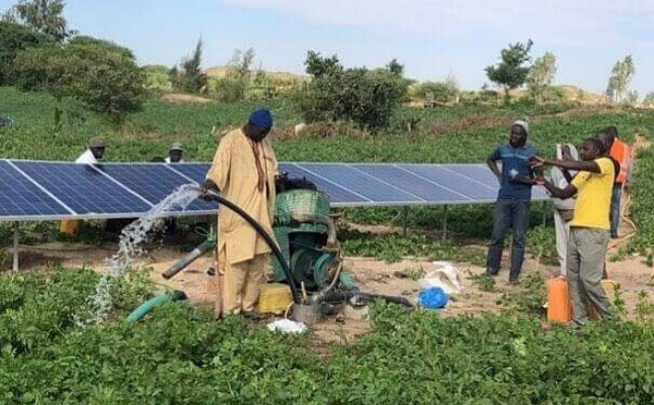 Forages ruraux: la solarisation pourrait faire économiser 13 milliards de FCFA par an au Sénégal