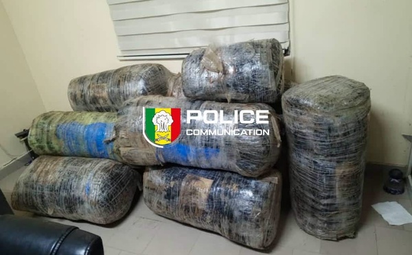 Guéréo : la Police saisit près de 245 kg de chanvre indien