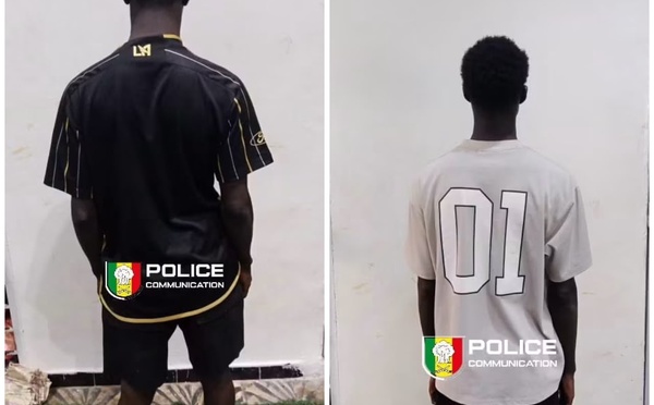Grand Dakar : un mouton volé retrouvé, deux suspects arrêtés et déférés