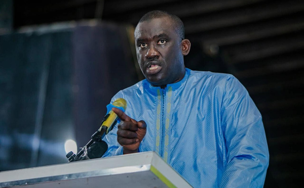 Locales de 2027 : Moussa Tine alerte sur les dangers d’un calendrier électoral imprévisible