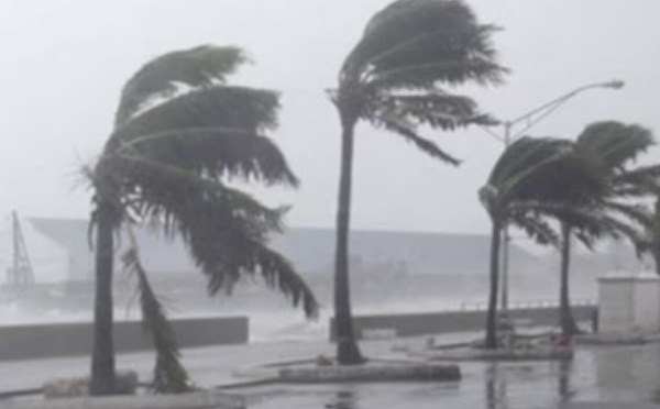 Alerte météo : plusieurs régions du Sénégal sous la menace d’orages et de fortes pluies