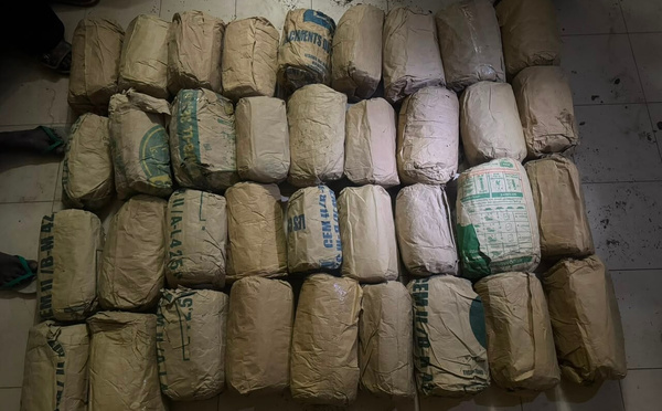 Trafic de drogue : la BRS de Dakar saisit 180,5 kg de chanvre indien et interpelle deux suspects