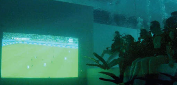 Et si vous regardiez le match des Diables... sous l'eau?