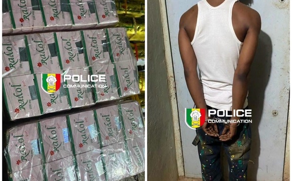 Kédougou : 4 300 comprimés de Tapentadol « Royal » saisis, un suspect arrêté