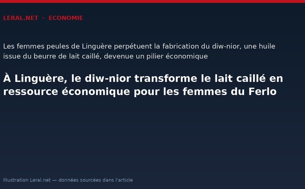 À Linguère, le diw-nior transforme le lait caillé en ressource économique pour les femmes du Ferlo