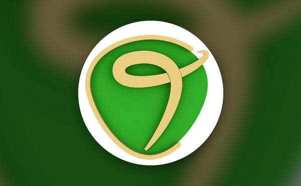 Tawhid TV en direct