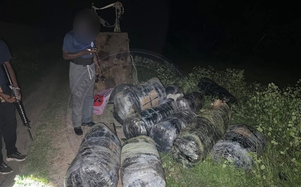 Mbodiène : six individus armés de machettes prennent la fuite, 375 kg de chanvre saisis