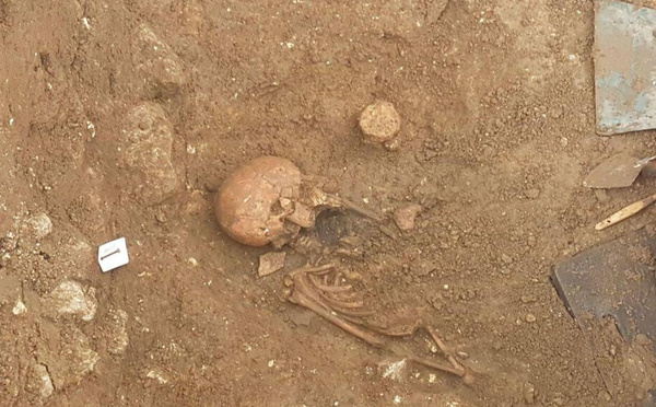 Ossements retrouvés près du palais : le médecin légiste privilégie une mort naturelle