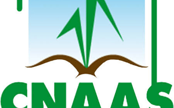 Foundiougne : l'Udam et la Cnaas unissent leurs forces pour protéger les acteurs agricoles