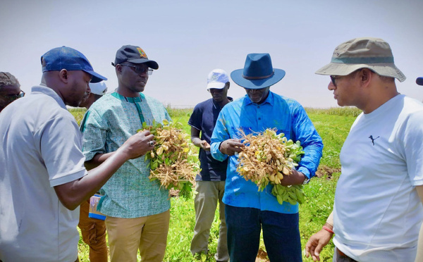 Commercialisation des produits agricoles : un dispositif pour anticiper les retards de préparation