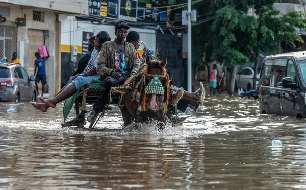 Pluies du 4 octobre : une chronique interroge la vulnérabilité des villes sénégalaises