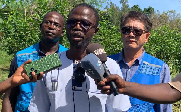 Riziculture : le projet coréen KOPIA présenté aux acteurs de la filière au Sénégal