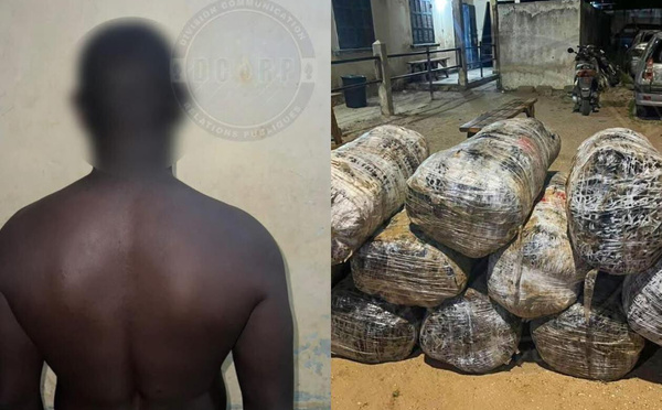 Port de Dakar : les Douanes saisissent 10 kg de haschich dissimulés dans un conteneur