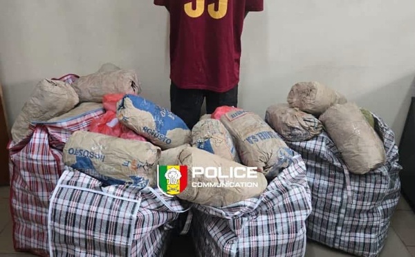 Rufisque : un individu arrêté avec 82,5 kg de chanvre indien et 512 cornets