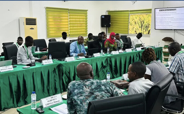 Saint-Louis : AfricaRice forme 26 techniciens de 13 pays à la production de semences de qualité