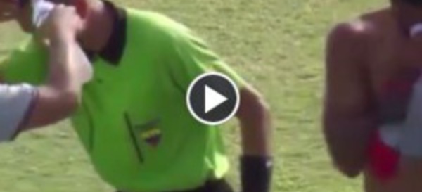 Vidéo insolite : Une attaque d'abeilles interrompt un match de foot en Equateur
