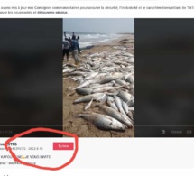 Fake News : Partage de vidéos pour démontrer l'efficacité de "l'annulation des accords de pêche", mais y a anguilles sous roches….