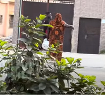 Libérée avec Zale Mbaye : L'attitude de Nogaye Kara décrite par Gouye Gui 