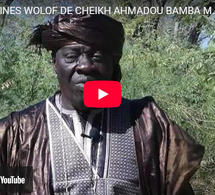 Cheikh Ahmadou Bamba Mbacké : aux racines wolof du fondateur du mouridisme