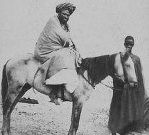 L'union du Waalo et du Trarza : entre alliance dynastique et menace coloniale (1833-1886)